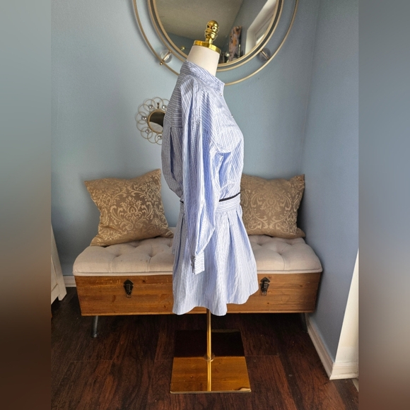 Maje Striped Shirt Mini Dress - Picture 5 of 9